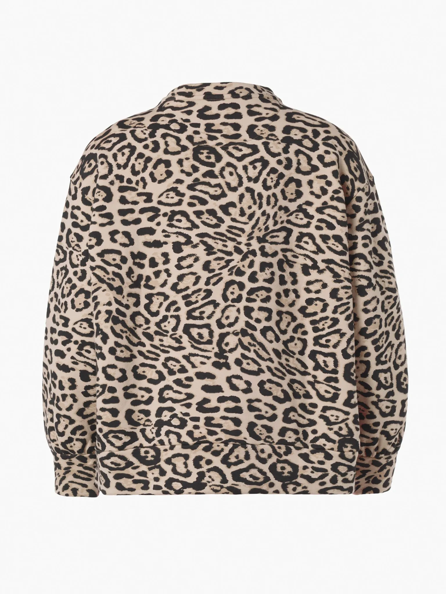 Sweaters & Hoodies-Goldbergh ALISTER Sweater jaguar