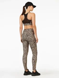 Matching Sets|Sportbeha'S & Tops-Goldbergh STRENGTH Bra jaguar